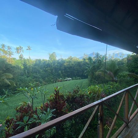 Babahan Farmstay Табанан Екстер'єр фото