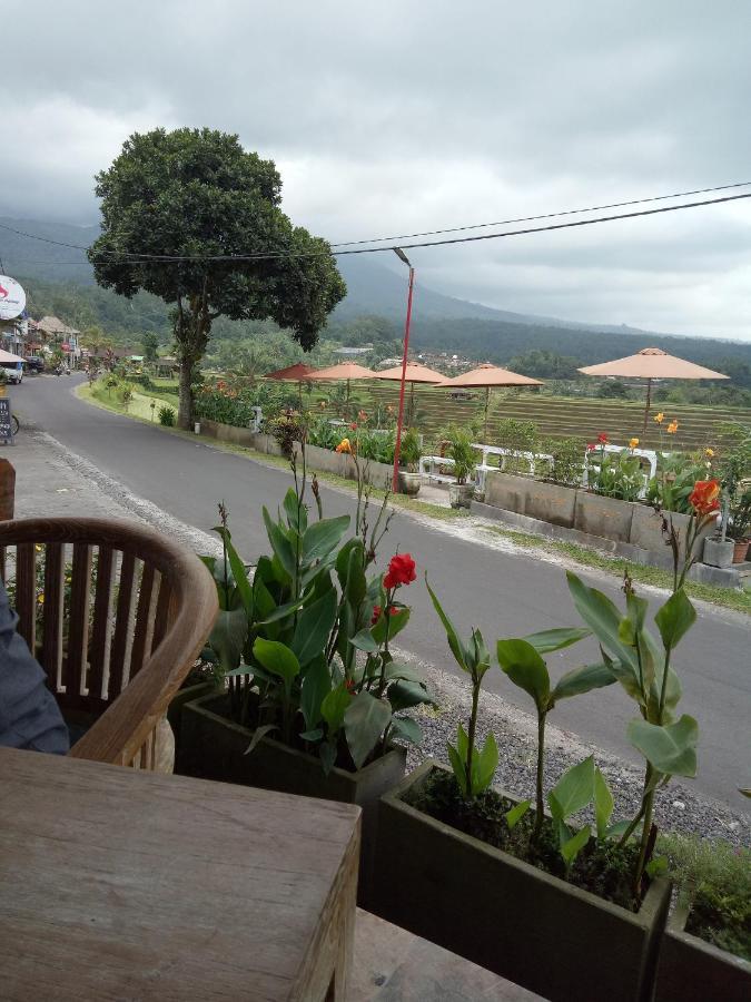 Babahan Farmstay Табанан Екстер'єр фото