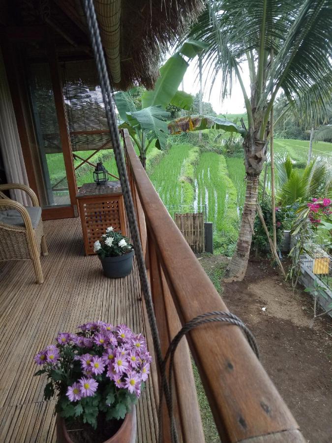 Babahan Farmstay Табанан Екстер'єр фото