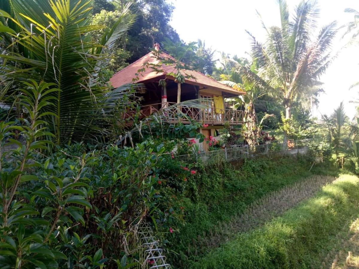 Babahan Farmstay Табанан Екстер'єр фото