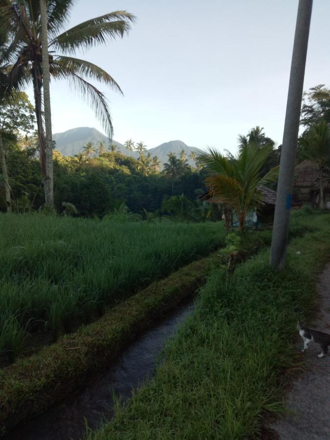 Babahan Farmstay Табанан Екстер'єр фото