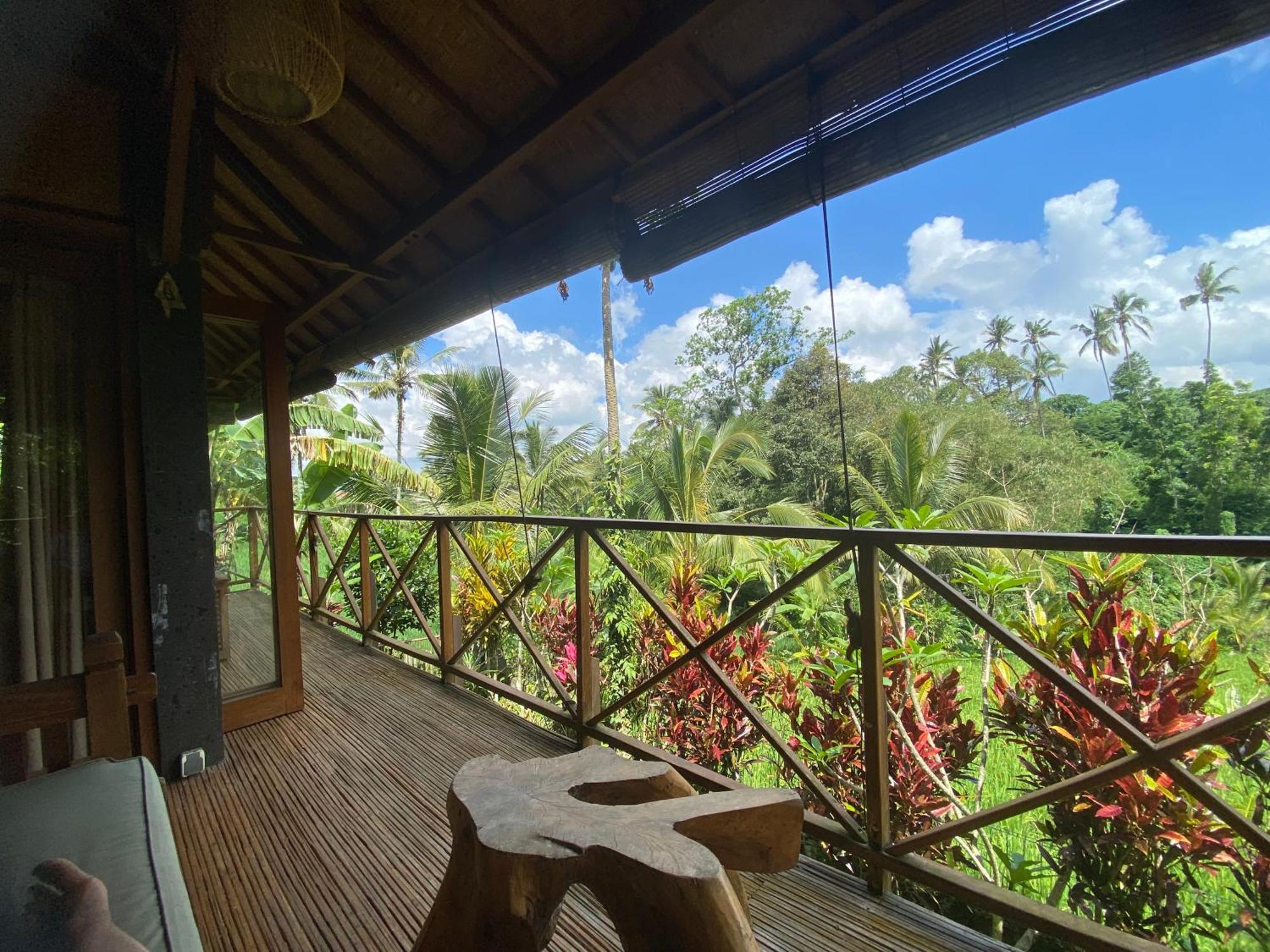 Babahan Farmstay Табанан Екстер'єр фото