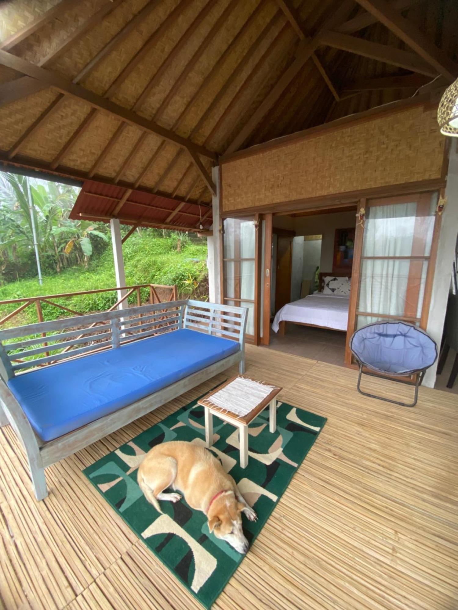 Babahan Farmstay Табанан Екстер'єр фото